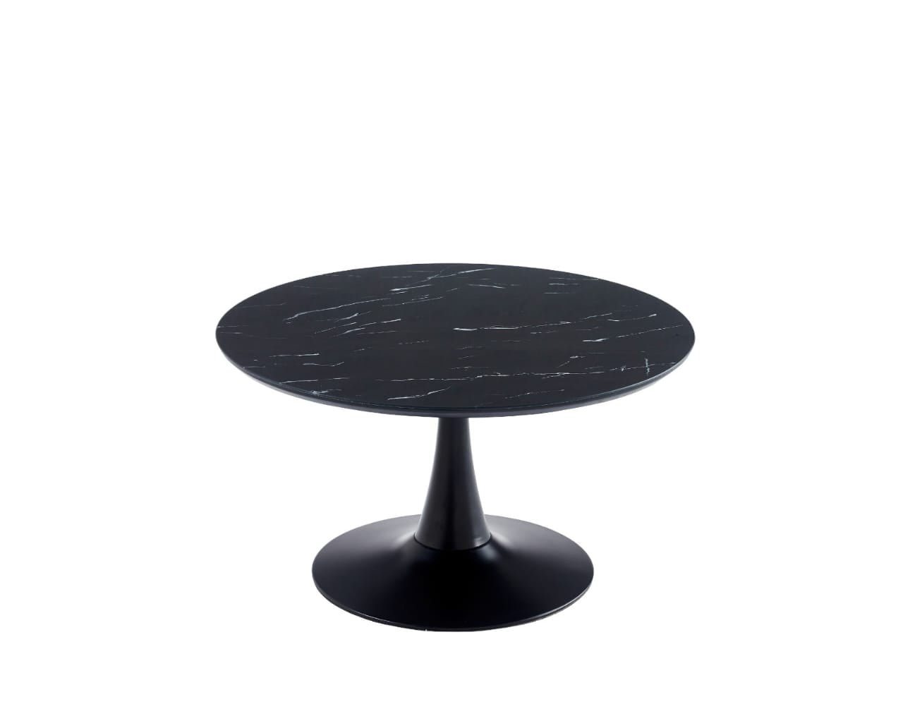 TABLE BASSE ROSA PIED NOIR - Image 3